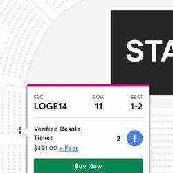 Rauw Alejandro Concert Tickets TD garden 