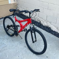 Adult/Teen Bike 