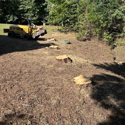 STUMP GRINDING 