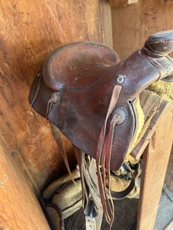 Saddle