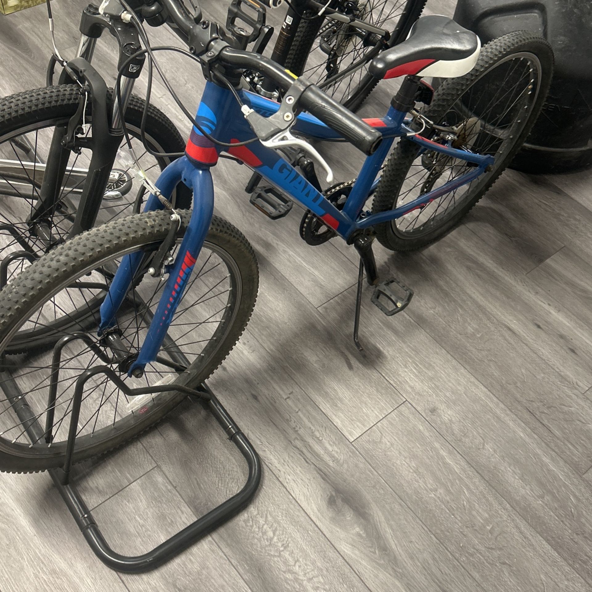Giant Xtc Bike 