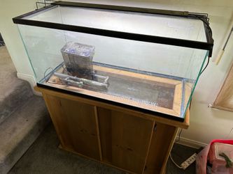 40 gallon fish tank w/Stand, filter , and light