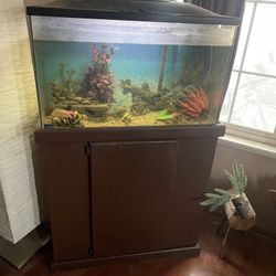 Fish Tank And Stand Complete With  Pumps And Accessories 