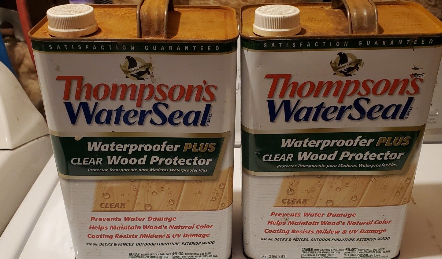 Thompson's WaterSeal