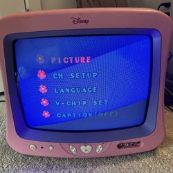 Princess CRT Tv