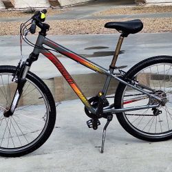 Specialized Mountain Bike Size SMALL ON THIE FRAME 24  ON The Tires 