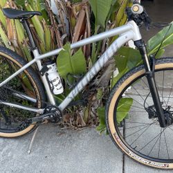 Large Specialized Bike 2023