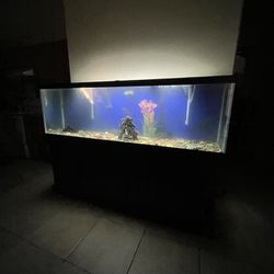 125 gallon fish tank 