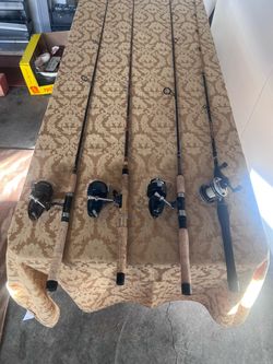 Fishing Rod & Reel