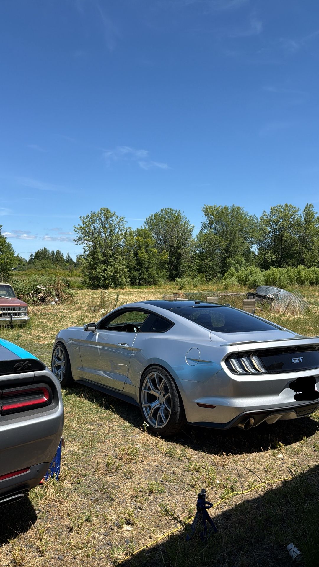 Mustang Euros Taillights