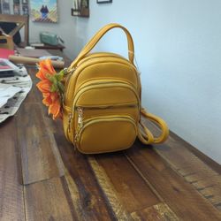 Purse/Backpack 
