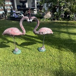 Flamingos 