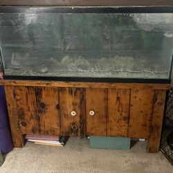 60 Gallon Show Fish Tank