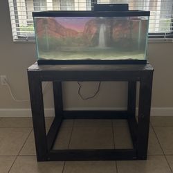 40 Gallon Fish Tank