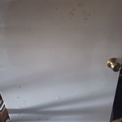 30 X80 Flush  Hollow Core Door Good  Condition 