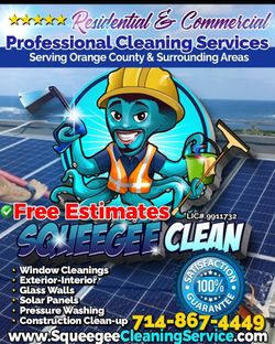 Window Cleaning