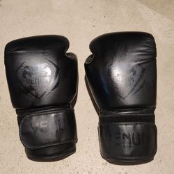 16oz Venum Gloves