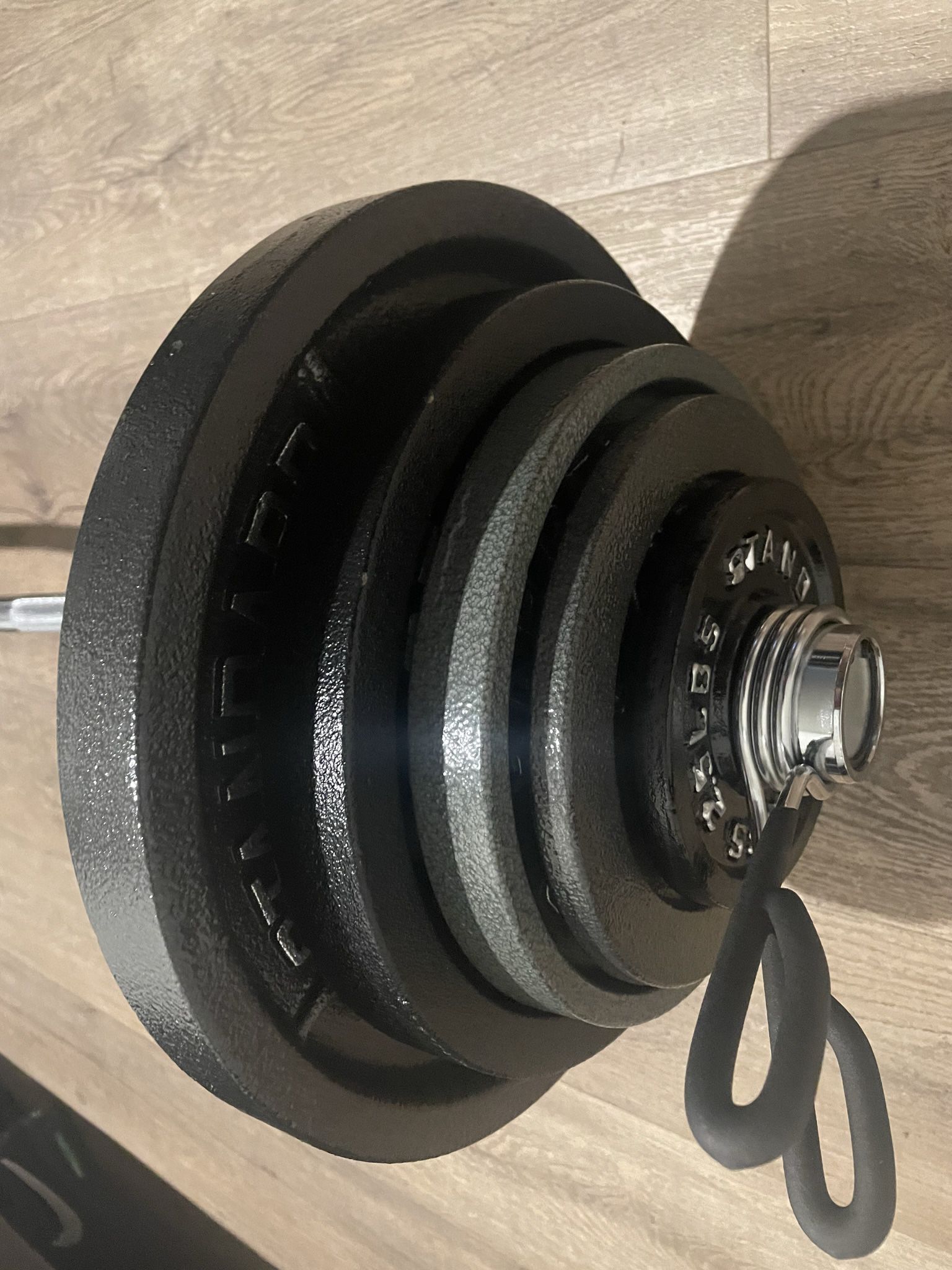 Brand NEW Olympic Curl Bar &  Weight Plates.  Total: 175 lbs