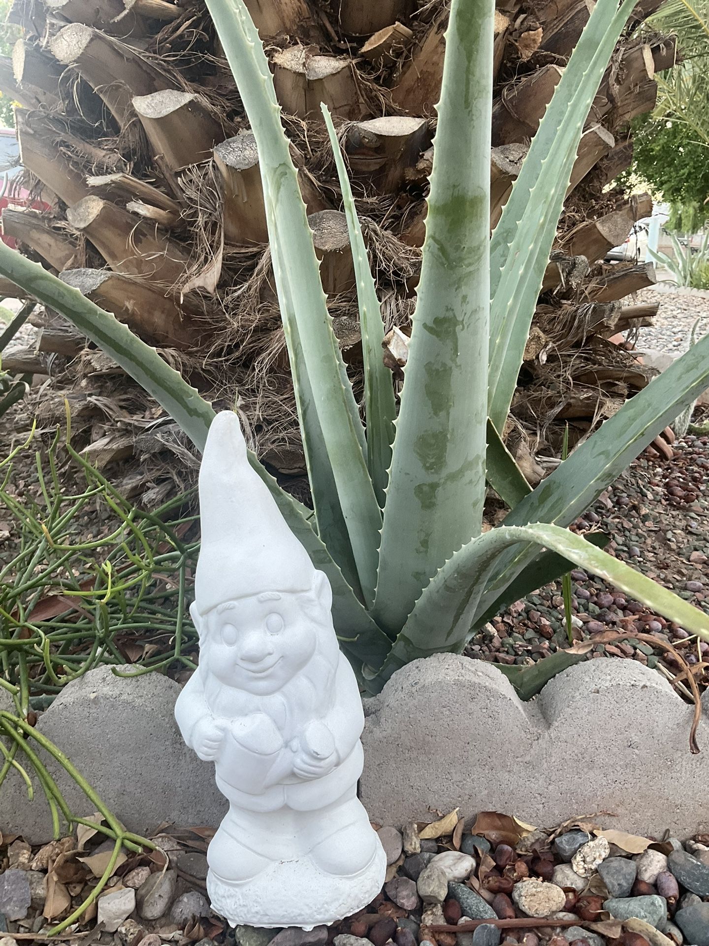 Aloe Vera And Tools