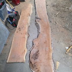Live Edge Slabs 