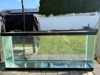 55 gallon fish tank