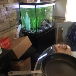 36 Gallon Fish Tank