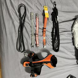 Dog Gear Bundle