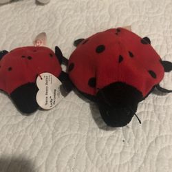 Lucky Lady Bug Beanie Baby And Teenie Beanie Baby