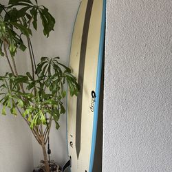 Torq Surfboard + Vissla Wetsuit