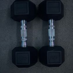 Two 20lbs Dumbbells 