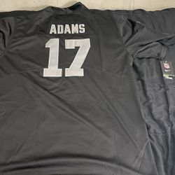 Raider Jersey 