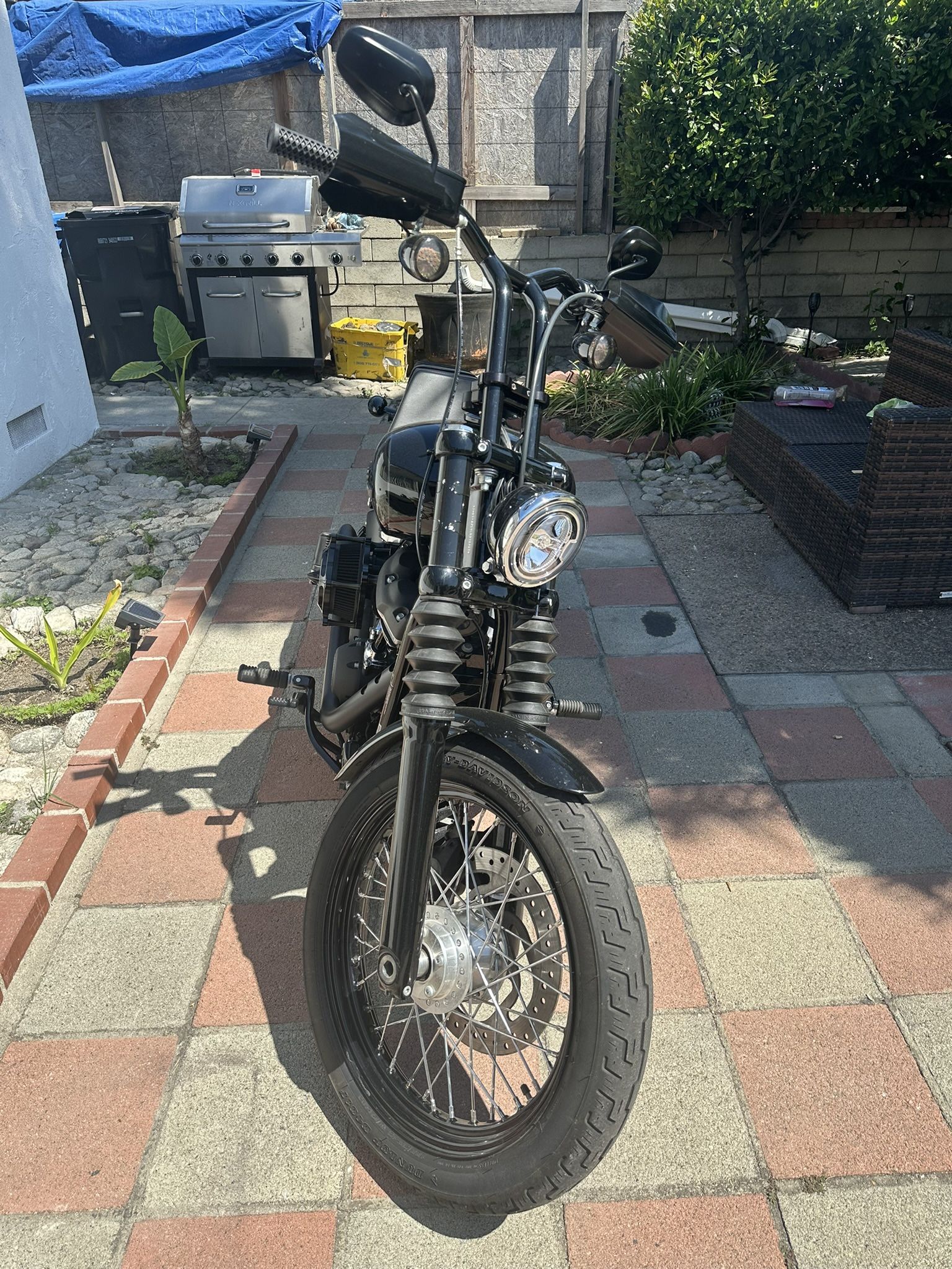 2020 Harley Davidson Street bob