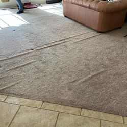 &  Carpet & Stretxhing Repair  Steam &&