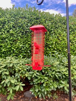 Red squirrel-proof bird feeder and 96 in hook