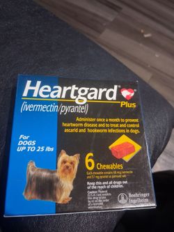 Dog stuff