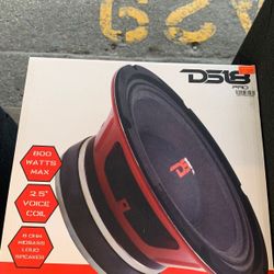 DS18 10” midbass loud speakers