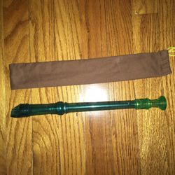 Recorder with carry pouch