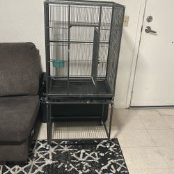Bird Cage