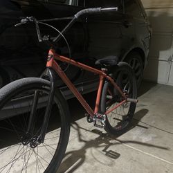 29 Inch Pomegranate Bomma 