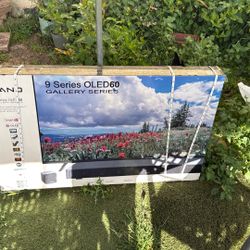 Nano TV And Speaker Thing