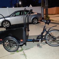 Cargo Family Bike