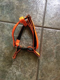 Harness o dog size L/M