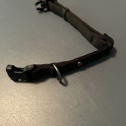 New Small Dog Collar