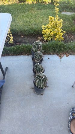 Garage sale