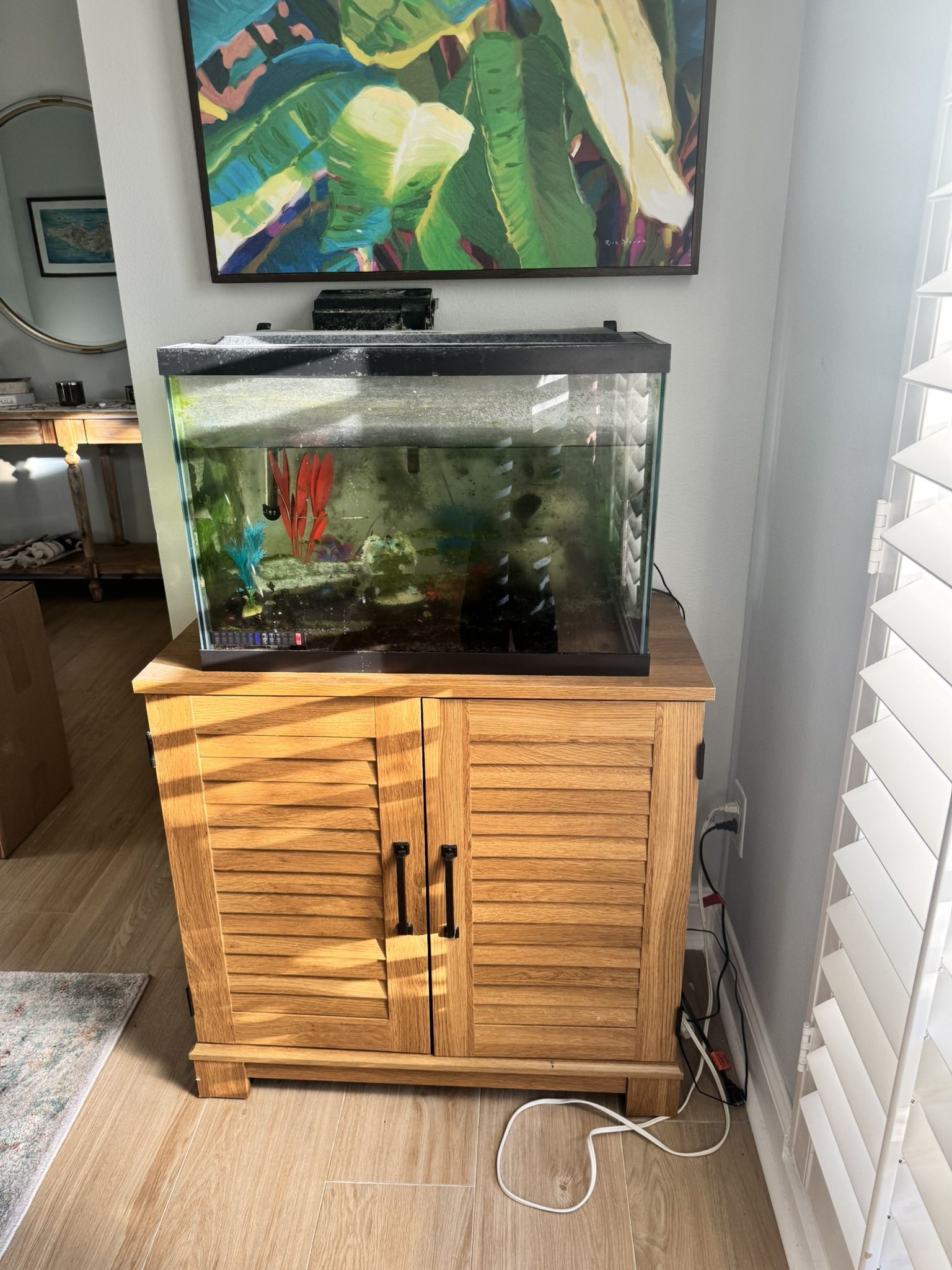 20 Gal Fish Tank