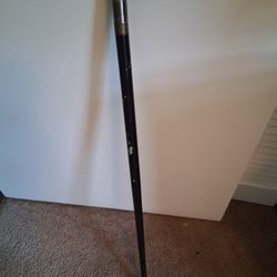 Vintage Walking CAIN  with Protector 