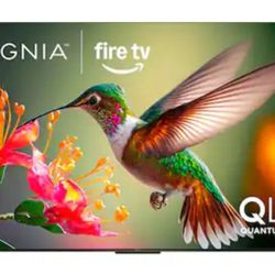 55"Inch Insignia Flat screen Crystal Clear Picture 