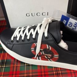 Gucci Shoes 