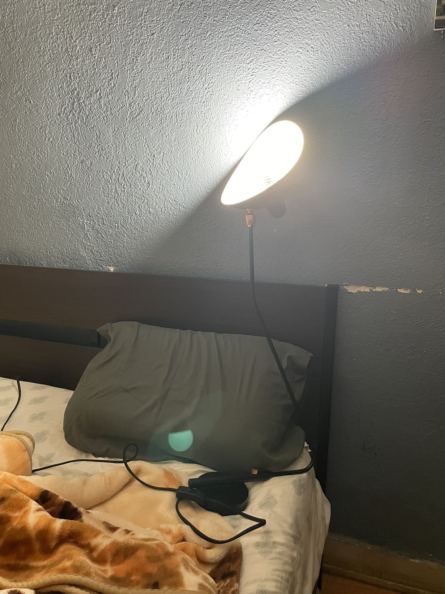 Lamp