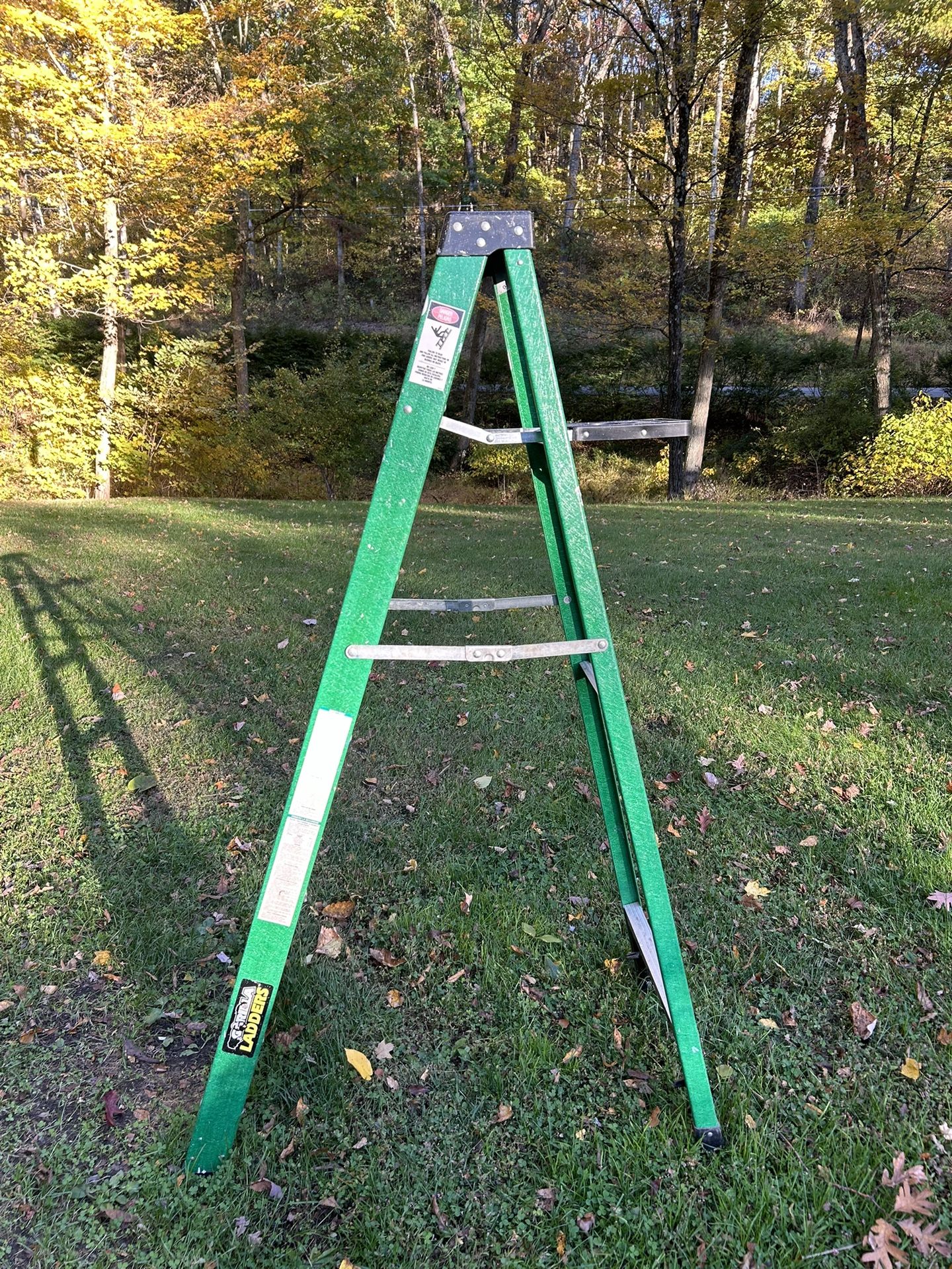 6 Foot Fiberglass Ladder